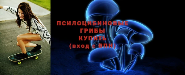 дживик Абаза