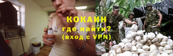 дживик Абаза