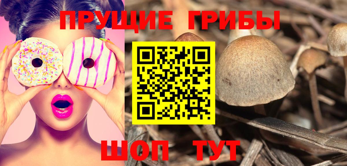 Галлюциногенные грибы Psilocybe  Галлюциногенные грибы GOLDEN TEACHER  Курчатов  Вход с VPN 